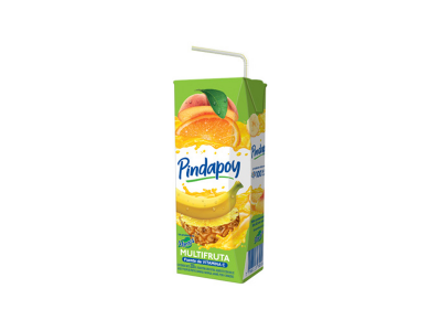 JUGO PINDAPOY MULTIF.18 X 200C