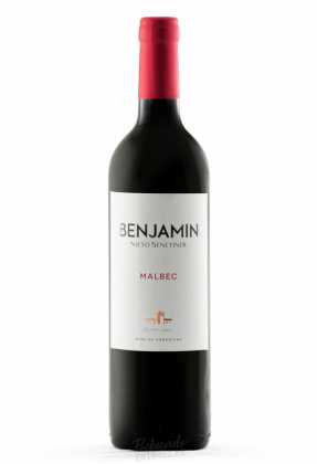 VINO BENJAMIN MALBEC 6 X 750ML
