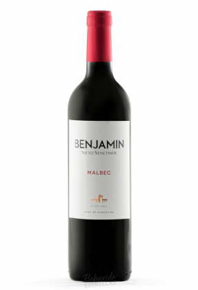 VINO BENJAMIN MALBEC 6X750ML